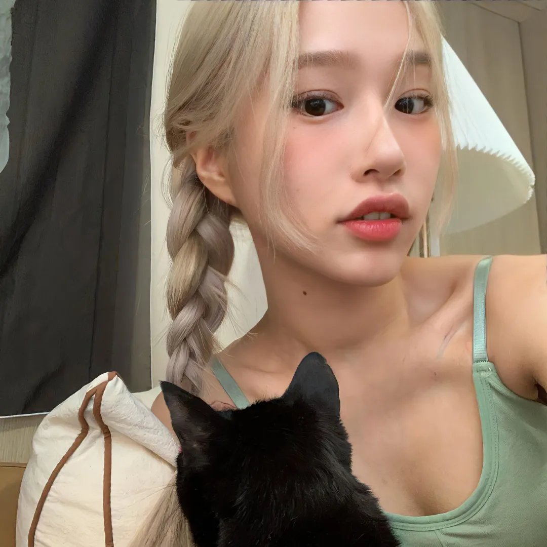 犬杀